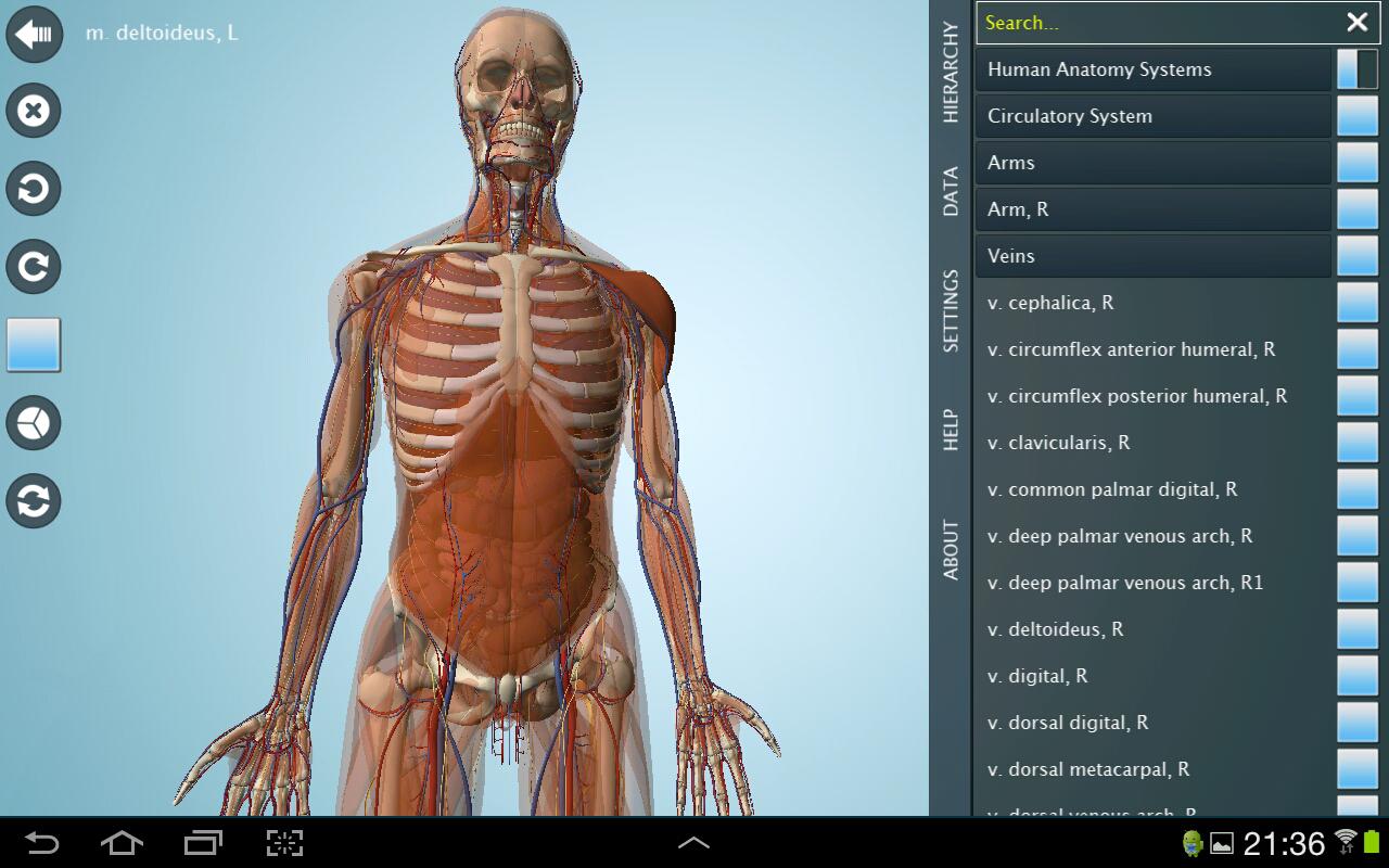 3d anatomy free download